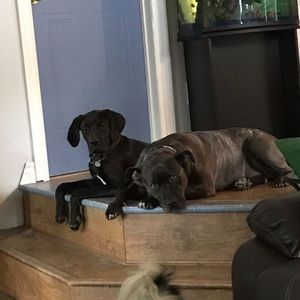 Meet your Posher, Gilles